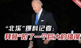 北溪爆料记者是谁啊视频,真相背后的神秘身影
